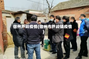 宿州芦岭疫情(宿州市芦岭镇疫情)