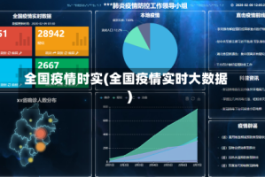 全国疫情时实(全国疫情实时大数据)