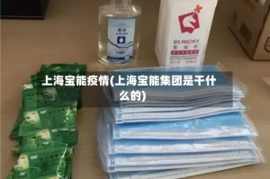 上海宝能疫情(上海宝能集团是干什么的)