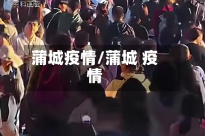 蒲城疫情/蒲城 疫情