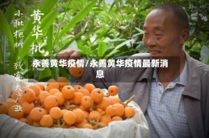 永善黄华疫情/永善黄华疫情最新消息