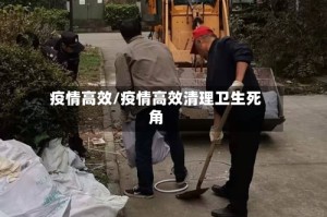 疫情高效/疫情高效清理卫生死角