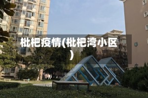 枇杷疫情(枇杷湾小区)