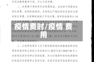 疫情费时/疫情 费用