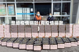 想给疫情捐款(向疫情捐款)