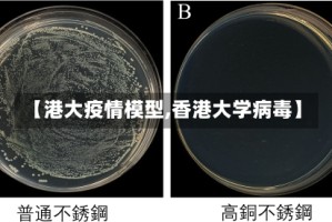 【港大疫情模型,香港大学病毒】