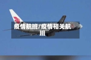 疫情航班/疫情相关航班