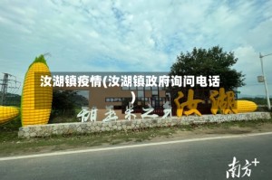 汝湖镇疫情(汝湖镇政府询问电话)