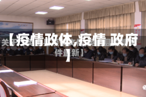 【疫情政体,疫情 政府】
