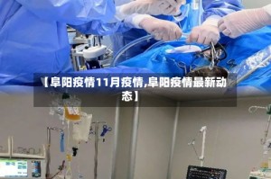 【阜阳疫情11月疫情,阜阳疫情最新动态】