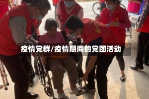 疫情党群/疫情期间的党团活动