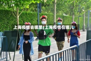 上海疫情去哪里(上海疫情在哪儿)
