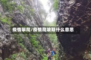 疫情攀爬/疫情爬坡期什么意思