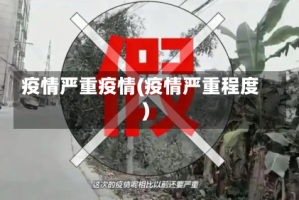 疫情严重疫情(疫情严重程度)