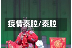 疫情秦腔/秦腔