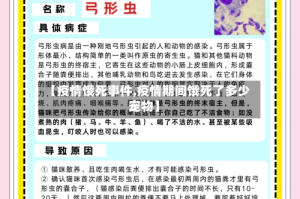 【疫情饿死事件,疫情期间饿死了多少宠物】