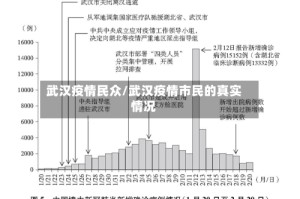 武汉疫情民众/武汉疫情市民的真实情况