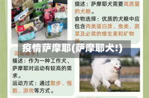 疫情萨摩耶(萨摩耶犬!)