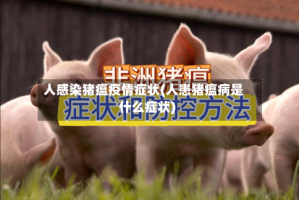 人感染猪瘟疫情症状(人患猪瘟病是什么症状)