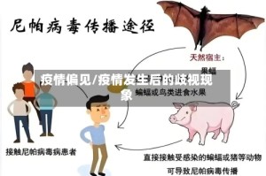 疫情偏见/疫情发生后的歧视现象