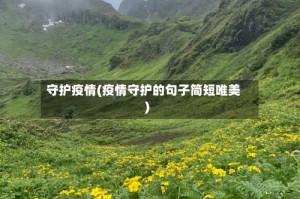 守护疫情(疫情守护的句子简短唯美)