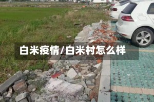 白米疫情/白米村怎么样