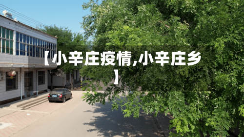 【小辛庄疫情,小辛庄乡】-第2张图片