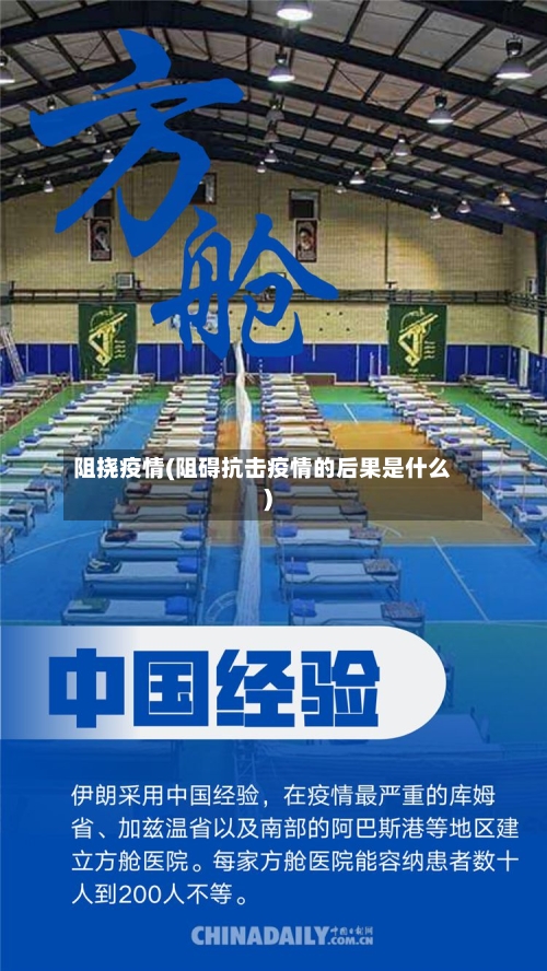 阻挠疫情(阻碍抗击疫情的后果是什么)-第3张图片