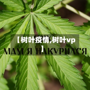 【树叶疫情,树叶vp】-第1张图片