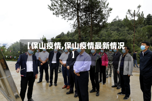 【保山疫情,保山疫情最新情况】-第1张图片