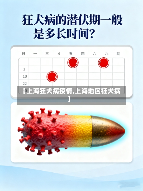 【上海狂犬病疫情,上海地区狂犬病】-第1张图片