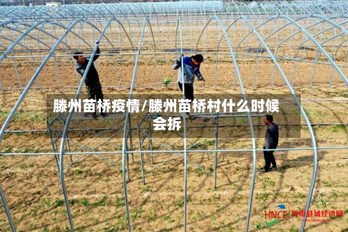 滕州苗桥疫情/滕州苗桥村什么时候会拆-第1张图片