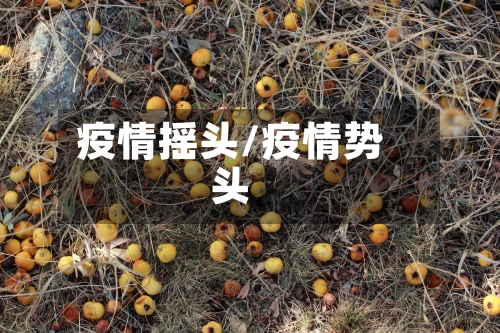 疫情摇头/疫情势头-第1张图片