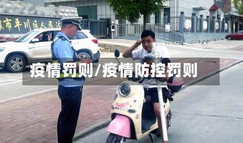 疫情罚则/疫情防控罚则-第3张图片