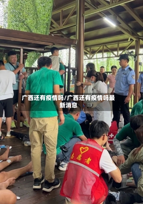 广西还有疫情吗/广西还有疫情吗最新消息-第2张图片