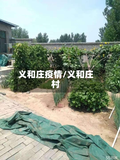 义和庄疫情/义和庄村-第1张图片