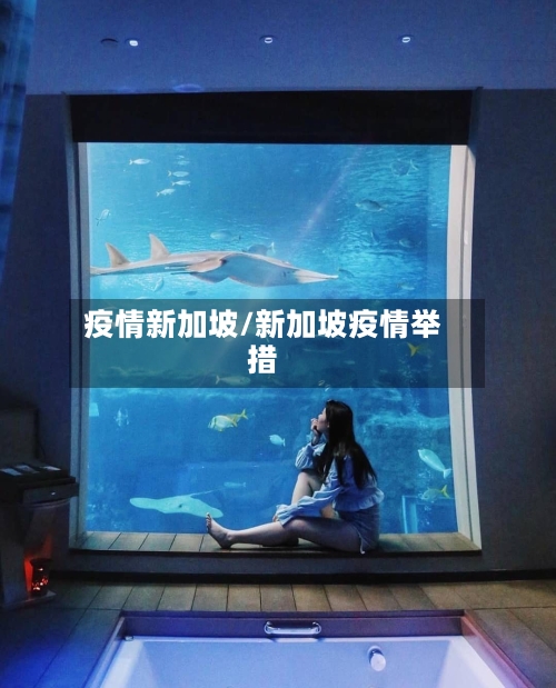 疫情新加坡/新加坡疫情举措-第2张图片