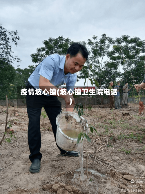 疫情坡心镇(坡心镇卫生院电话)-第2张图片