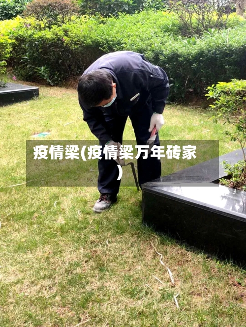 疫情梁(疫情梁万年砖家)-第2张图片