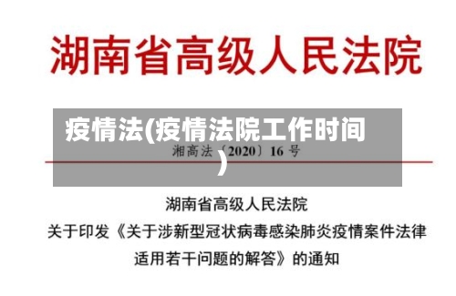 疫情法(疫情法院工作时间)-第1张图片