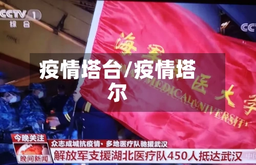 疫情塔台/疫情塔尔-第2张图片