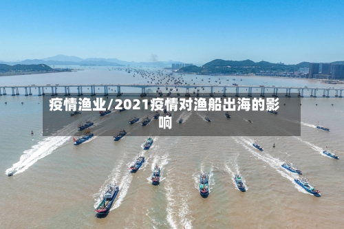 疫情渔业/2021疫情对渔船出海的影响-第2张图片