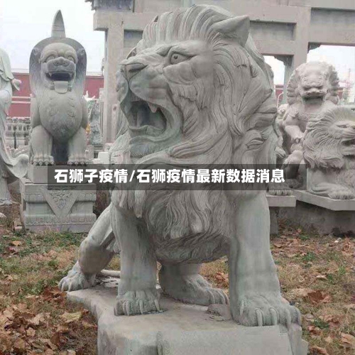 石狮子疫情/石狮疫情最新数据消息-第3张图片