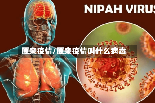 原来疫情/原来疫情叫什么病毒-第1张图片