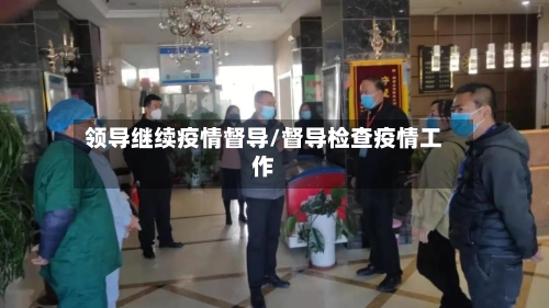 领导继续疫情督导/督导检查疫情工作-第2张图片