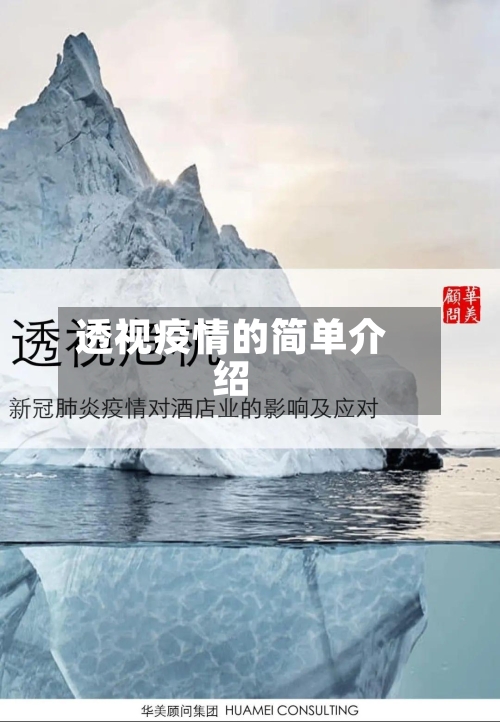 透视疫情的简单介绍-第2张图片