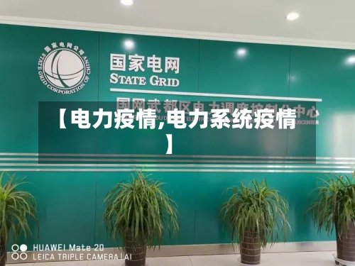 【电力疫情,电力系统疫情】-第1张图片