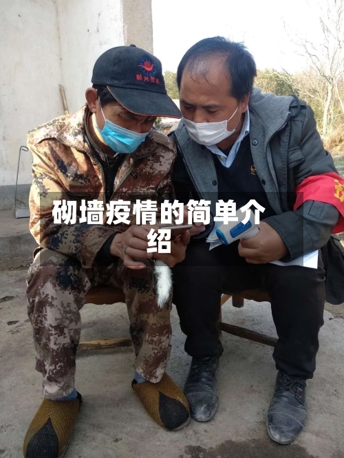 砌墙疫情的简单介绍-第1张图片