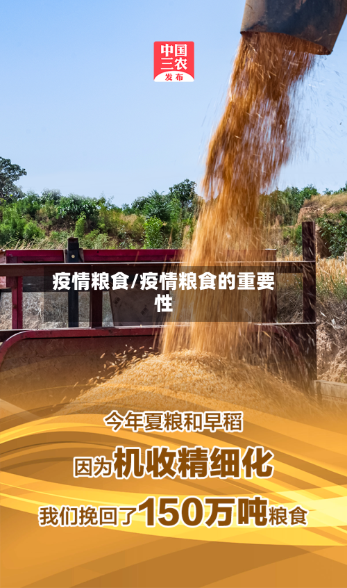 疫情粮食/疫情粮食的重要性-第1张图片