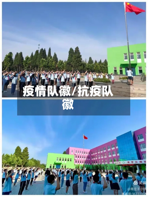 疫情队徽/抗疫队徽-第1张图片